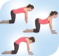 Low Back Pain Exercise