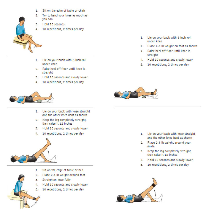 Personal Exercise Programme for Knee