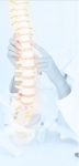 Spine Conditioning Program